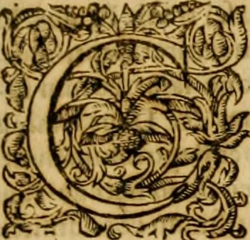 An illustration from Ioannis Calvini Tractatus theologici omnes : in unum volumen certis classibus congesti : quorum aliqui nec latine nec gallicè prius editi fuerunt, 1597, leaf 268