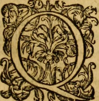 An illustration from Ioannis Calvini Tractatus theologici omnes : in unum volumen certis classibus congesti : quorum aliqui nec latine nec gallicè prius editi fuerunt, 1597, leaf 462