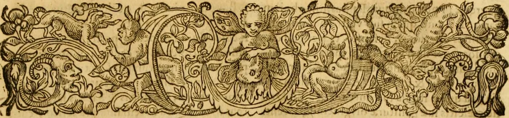 An illustration from Ioannis Calvini Tractatus theologici omnes : in unum volumen certis classibus congesti : quorum aliqui nec latine nec gallicè prius editi fuerunt, 1597, leaf 810