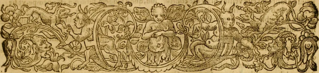 An illustration from Ioannis Calvini Tractatus theologici omnes : in unum volumen certis classibus congesti : quorum aliqui nec latine nec gallicè prius editi fuerunt, 1597, leaf 884