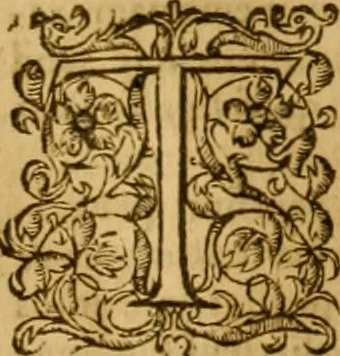 An illustration from Ioannis Calvini Tractatus theologici omnes : in unum volumen certis classibus congesti : quorum aliqui nec latine nec gallicè prius editi fuerunt, 1597, leaf 884