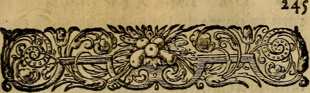An illustration from Ioannis Dallaei De imaginibus libri IV, 1642, leaf 266