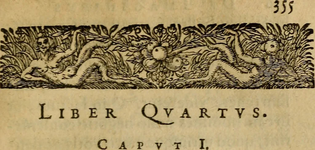 An illustration from Ioannis Dallaei De imaginibus libri IV, 1642, leaf 376