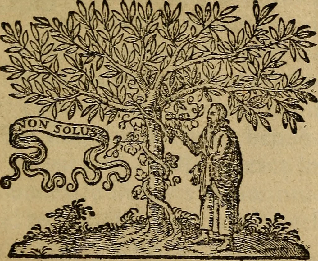 An illustration from Ioannis Dallaei De imaginibus libri IV, 1642, leaf 6