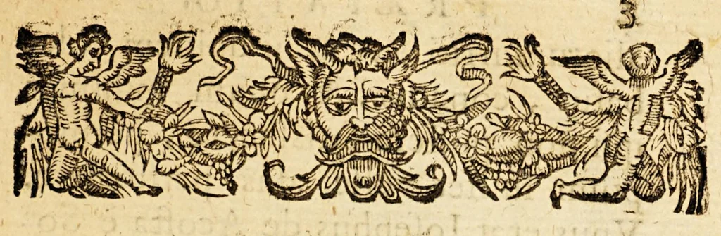 An illustration from Ioannis de Laet Antuerpiani Notæ ad dissertationem Hugonis Grotii De origine gentium Americanarum : et obseruationes aliquot ad meliorem indaginem difficillimæ illius quæstionis, 1643, leaf 9