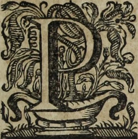 An illustration from Ioannis Eusebii Nierembergii Madritensis ex Societate Iesu ... Historia naturae, maxime peregrinae, libris XVI. distincta : in quibus rarissima naturae arcana, etiam astronomica, & ignota Indiarum animalia, ... plantae, metalla, lapides & alia mineralia, fluuiorumque & elementorum conditiones, etiam cum proprietatibus medicinalibus, describuntur ... : accedunt de miris & miraculosis naturis in Europâ libri duo, item de iisdem in terrâ Hebraeis promissâ liber vnus, 1635, leaf 106