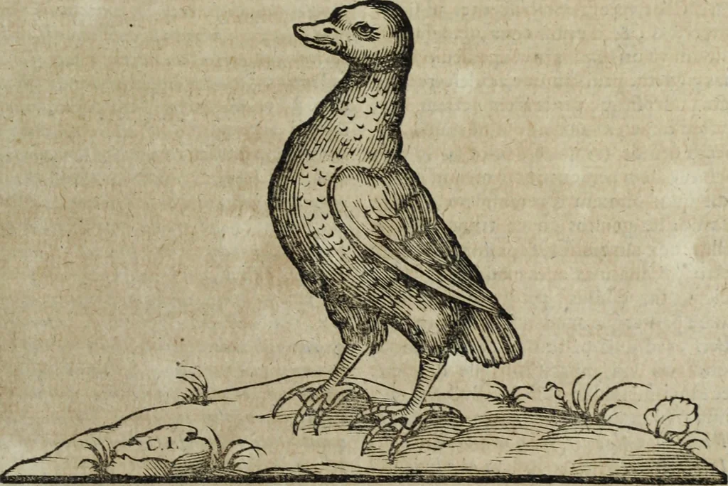 An illustration from Ioannis Eusebii Nierembergii Madritensis ex Societate Iesu ... Historia naturae, maxime peregrinae, libris XVI. distincta : in quibus rarissima naturae arcana, etiam astronomica, & ignota Indiarum animalia, ... plantae, metalla, lapides & alia mineralia, fluuiorumque & elementorum conditiones, etiam cum proprietatibus medicinalibus, describuntur ... : accedunt de miris & miraculosis naturis in Europâ libri duo, item de iisdem in terrâ Hebraeis promissâ liber vnus, 1635, leaf 110