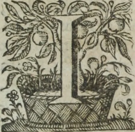 An illustration from Ioannis Eusebii Nierembergii Madritensis ex Societate Iesu ... Historia naturae, maxime peregrinae, libris XVI. distincta : in quibus rarissima naturae arcana, etiam astronomica, & ignota Indiarum animalia, ... plantae, metalla, lapides & alia mineralia, fluuiorumque & elementorum conditiones, etiam cum proprietatibus medicinalibus, describuntur ... : accedunt de miris & miraculosis naturis in Europâ libri duo, item de iisdem in terrâ Hebraeis promissâ liber vnus, 1635, leaf 14