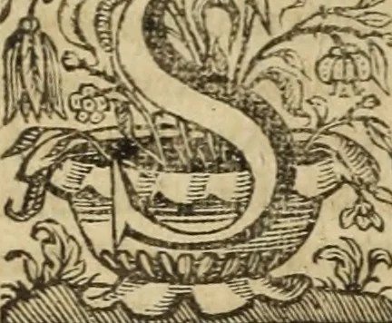 An illustration from Ioannis Eusebii Nierembergii Madritensis ex Societate Iesu ... Historia naturae, maxime peregrinae, libris XVI. distincta : in quibus rarissima naturae arcana, etiam astronomica, & ignota Indiarum animalia, ... plantae, metalla, lapides & alia mineralia, fluuiorumque & elementorum conditiones, etiam cum proprietatibus medicinalibus, describuntur ... : accedunt de miris & miraculosis naturis in Europâ libri duo, item de iisdem in terrâ Hebraeis promissâ liber vnus, 1635, leaf 145