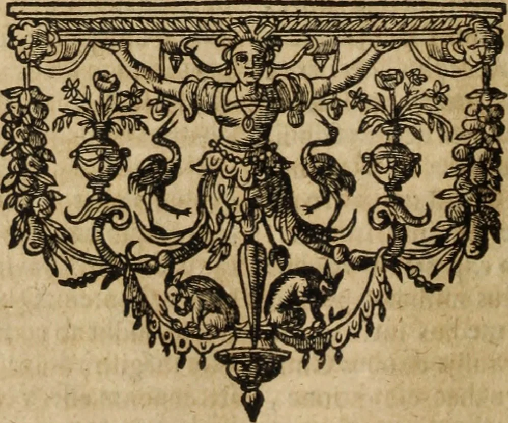 An illustration from Ioannis Eusebii Nierembergii Madritensis ex Societate Iesu ... Historia naturae, maxime peregrinae, libris XVI. distincta : in quibus rarissima naturae arcana, etiam astronomica, & ignota Indiarum animalia, ... plantae, metalla, lapides & alia mineralia, fluuiorumque & elementorum conditiones, etiam cum proprietatibus medicinalibus, describuntur ... : accedunt de miris & miraculosis naturis in Europâ libri duo, item de iisdem in terrâ Hebraeis promissâ liber vnus, 1635, leaf 165