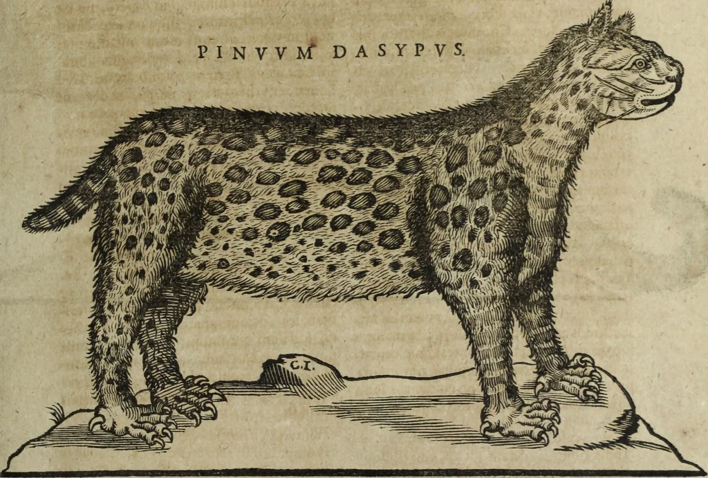 An illustration from Ioannis Eusebii Nierembergii Madritensis ex Societate Iesu ... Historia naturae, maxime peregrinae, libris XVI. distincta : in quibus rarissima naturae arcana, etiam astronomica, & ignota Indiarum animalia, ... plantae, metalla, lapides & alia mineralia, fluuiorumque & elementorum conditiones, etiam cum proprietatibus medicinalibus, describuntur ... : accedunt de miris & miraculosis naturis in Europâ libri duo, item de iisdem in terrâ Hebraeis promissâ liber vnus, 1635, leaf 166