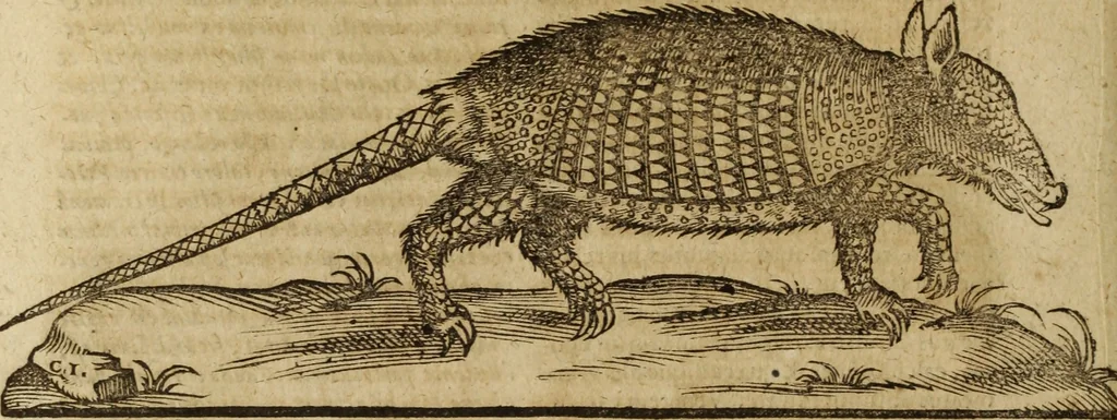 An illustration from Ioannis Eusebii Nierembergii Madritensis ex Societate Iesu ... Historia naturae, maxime peregrinae, libris XVI. distincta : in quibus rarissima naturae arcana, etiam astronomica, & ignota Indiarum animalia, ... plantae, metalla, lapides & alia mineralia, fluuiorumque & elementorum conditiones, etiam cum proprietatibus medicinalibus, describuntur ... : accedunt de miris & miraculosis naturis in Europâ libri duo, item de iisdem in terrâ Hebraeis promissâ liber vnus, 1635, leaf 171
