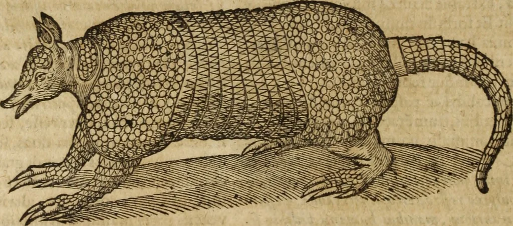 An illustration from Ioannis Eusebii Nierembergii Madritensis ex Societate Iesu ... Historia naturae, maxime peregrinae, libris XVI. distincta : in quibus rarissima naturae arcana, etiam astronomica, & ignota Indiarum animalia, ... plantae, metalla, lapides & alia mineralia, fluuiorumque & elementorum conditiones, etiam cum proprietatibus medicinalibus, describuntur ... : accedunt de miris & miraculosis naturis in Europâ libri duo, item de iisdem in terrâ Hebraeis promissâ liber vnus, 1635, leaf 171