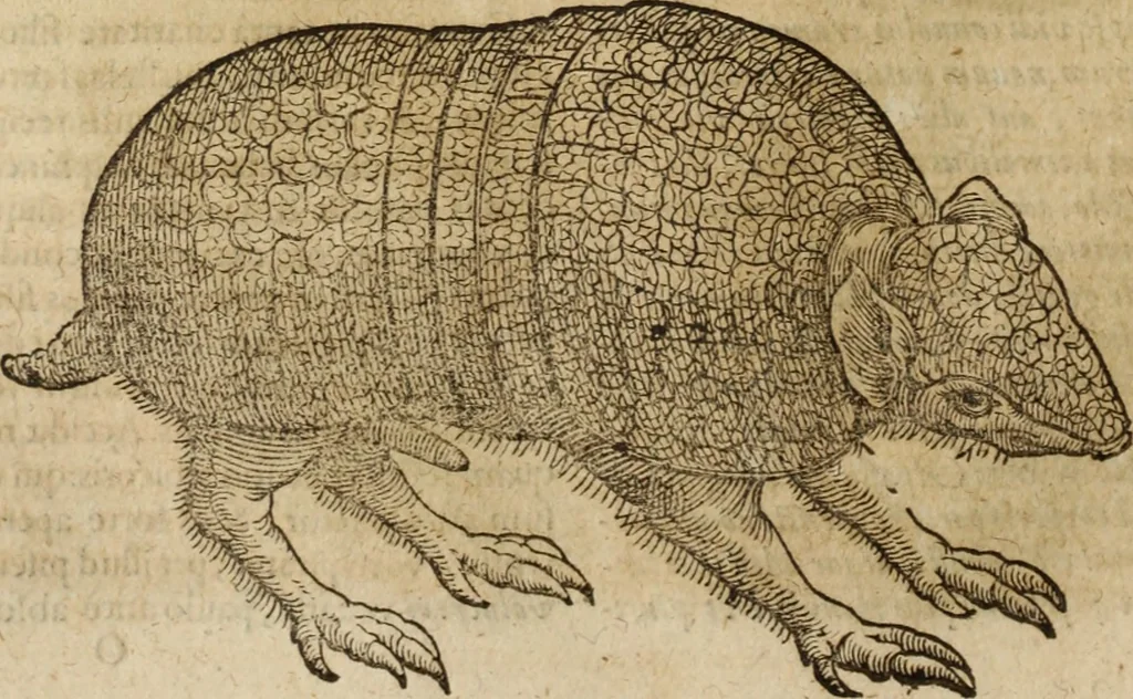 An illustration from Ioannis Eusebii Nierembergii Madritensis ex Societate Iesu ... Historia naturae, maxime peregrinae, libris XVI. distincta : in quibus rarissima naturae arcana, etiam astronomica, & ignota Indiarum animalia, ... plantae, metalla, lapides & alia mineralia, fluuiorumque & elementorum conditiones, etiam cum proprietatibus medicinalibus, describuntur ... : accedunt de miris & miraculosis naturis in Europâ libri duo, item de iisdem in terrâ Hebraeis promissâ liber vnus, 1635, leaf 171