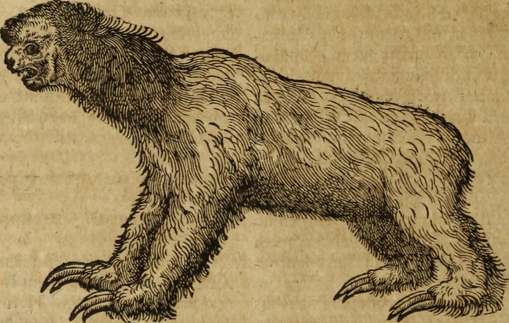 An illustration from Ioannis Eusebii Nierembergii Madritensis ex Societate Iesu ... Historia naturae, maxime peregrinae, libris XVI. distincta : in quibus rarissima naturae arcana, etiam astronomica, & ignota Indiarum animalia, ... plantae, metalla, lapides & alia mineralia, fluuiorumque & elementorum conditiones, etiam cum proprietatibus medicinalibus, describuntur ... : accedunt de miris & miraculosis naturis in Europâ libri duo, item de iisdem in terrâ Hebraeis promissâ liber vnus, 1635, leaf 177