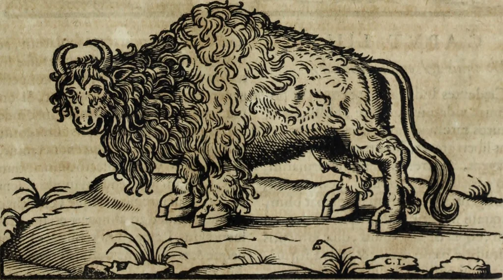 An illustration from Ioannis Eusebii Nierembergii Madritensis ex Societate Iesu ... Historia naturae, maxime peregrinae, libris XVI. distincta : in quibus rarissima naturae arcana, etiam astronomica, & ignota Indiarum animalia, ... plantae, metalla, lapides & alia mineralia, fluuiorumque & elementorum conditiones, etiam cum proprietatibus medicinalibus, describuntur ... : accedunt de miris & miraculosis naturis in Europâ libri duo, item de iisdem in terrâ Hebraeis promissâ liber vnus, 1635, leaf 194