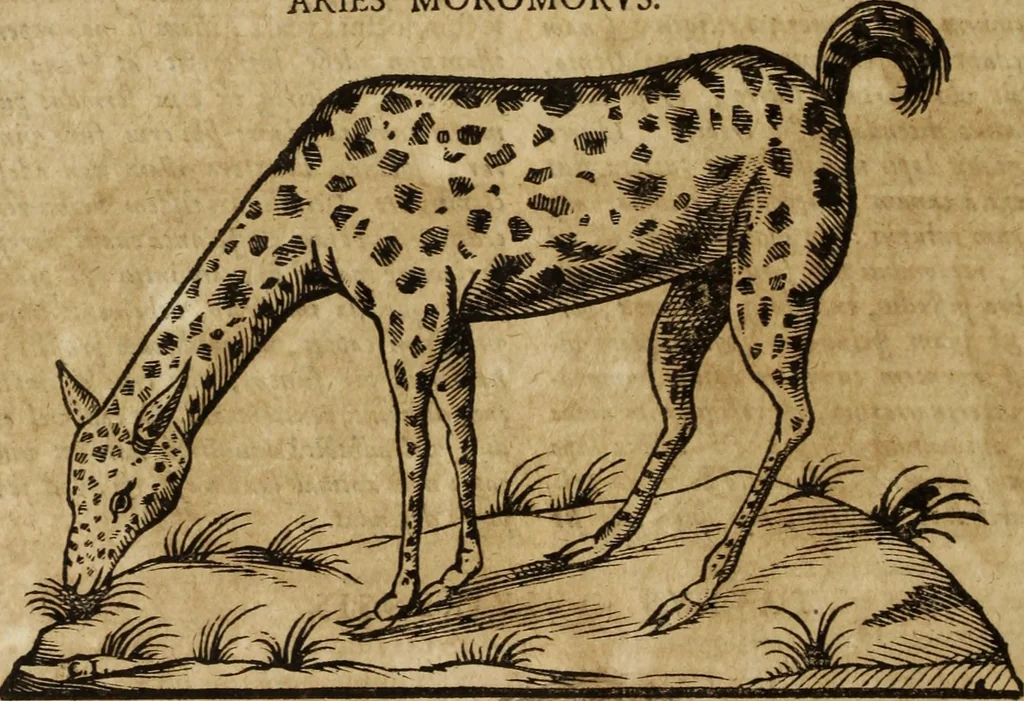 An illustration from Ioannis Eusebii Nierembergii Madritensis ex Societate Iesu ... Historia naturae, maxime peregrinae, libris XVI. distincta : in quibus rarissima naturae arcana, etiam astronomica, & ignota Indiarum animalia, ... plantae, metalla, lapides & alia mineralia, fluuiorumque & elementorum conditiones, etiam cum proprietatibus medicinalibus, describuntur ... : accedunt de miris & miraculosis naturis in Europâ libri duo, item de iisdem in terrâ Hebraeis promissâ liber vnus, 1635, leaf 195