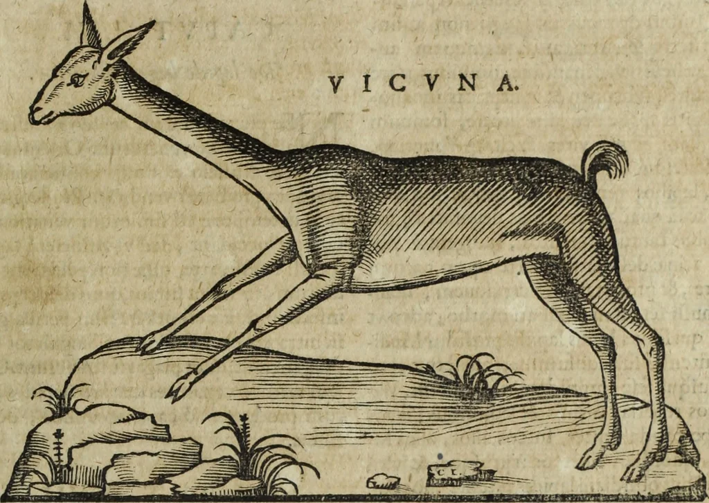 An illustration from Ioannis Eusebii Nierembergii Madritensis ex Societate Iesu ... Historia naturae, maxime peregrinae, libris XVI. distincta : in quibus rarissima naturae arcana, etiam astronomica, & ignota Indiarum animalia, ... plantae, metalla, lapides & alia mineralia, fluuiorumque & elementorum conditiones, etiam cum proprietatibus medicinalibus, describuntur ... : accedunt de miris & miraculosis naturis in Europâ libri duo, item de iisdem in terrâ Hebraeis promissâ liber vnus, 1635, leaf 198