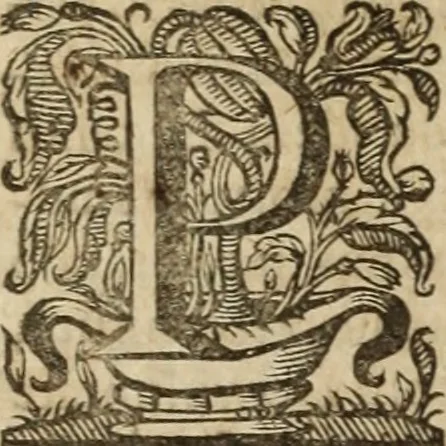 An illustration from Ioannis Eusebii Nierembergii Madritensis ex Societate Iesu ... Historia naturae, maxime peregrinae, libris XVI. distincta : in quibus rarissima naturae arcana, etiam astronomica, & ignota Indiarum animalia, ... plantae, metalla, lapides & alia mineralia, fluuiorumque & elementorum conditiones, etiam cum proprietatibus medicinalibus, describuntur ... : accedunt de miris & miraculosis naturis in Europâ libri duo, item de iisdem in terrâ Hebraeis promissâ liber vnus, 1635, leaf 219