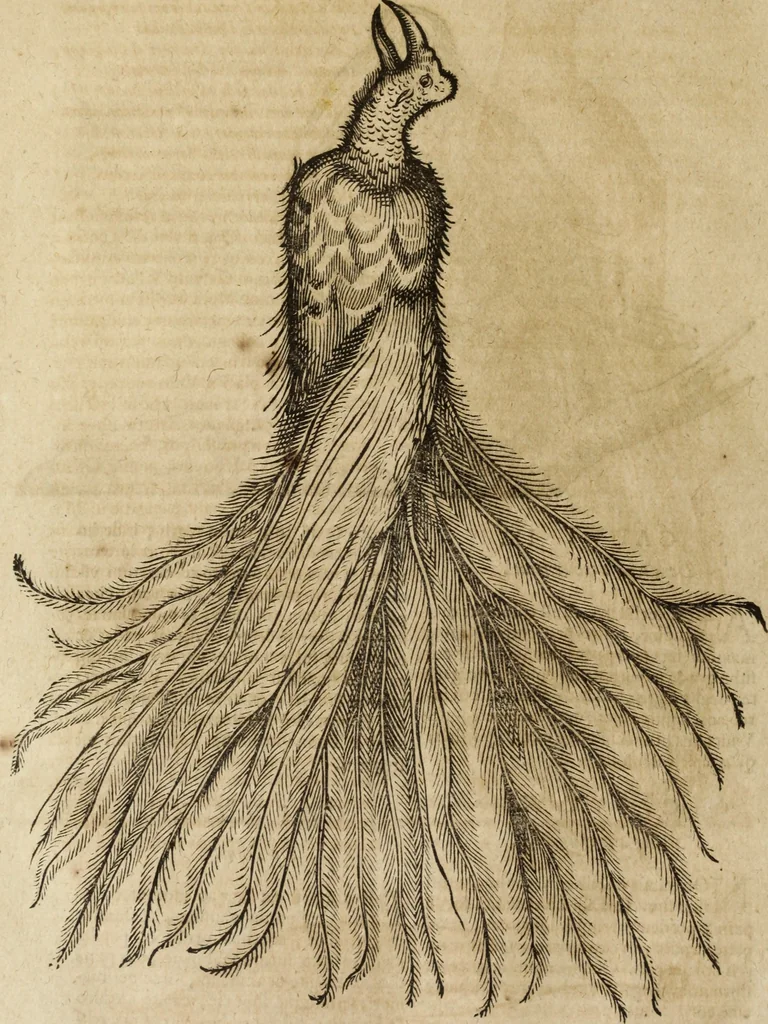 An illustration from Ioannis Eusebii Nierembergii Madritensis ex Societate Iesu ... Historia naturae, maxime peregrinae, libris XVI. distincta : in quibus rarissima naturae arcana, etiam astronomica, & ignota Indiarum animalia, ... plantae, metalla, lapides & alia mineralia, fluuiorumque & elementorum conditiones, etiam cum proprietatibus medicinalibus, describuntur ... : accedunt de miris & miraculosis naturis in Europâ libri duo, item de iisdem in terrâ Hebraeis promissâ liber vnus, 1635, leaf 223