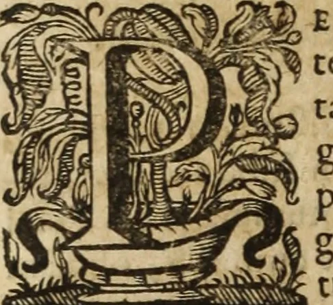 An illustration from Ioannis Eusebii Nierembergii Madritensis ex Societate Iesu ... Historia naturae, maxime peregrinae, libris XVI. distincta : in quibus rarissima naturae arcana, etiam astronomica, & ignota Indiarum animalia, ... plantae, metalla, lapides & alia mineralia, fluuiorumque & elementorum conditiones, etiam cum proprietatibus medicinalibus, describuntur ... : accedunt de miris & miraculosis naturis in Europâ libri duo, item de iisdem in terrâ Hebraeis promissâ liber vnus, 1635, leaf 257