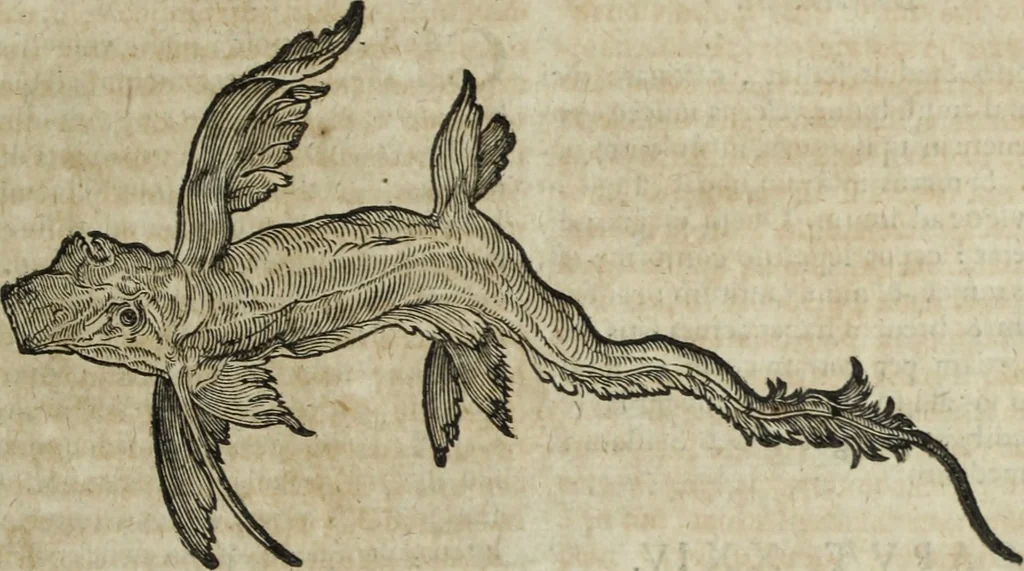 An illustration from Ioannis Eusebii Nierembergii Madritensis ex Societate Iesu ... Historia naturae, maxime peregrinae, libris XVI. distincta : in quibus rarissima naturae arcana, etiam astronomica, & ignota Indiarum animalia, ... plantae, metalla, lapides & alia mineralia, fluuiorumque & elementorum conditiones, etiam cum proprietatibus medicinalibus, describuntur ... : accedunt de miris & miraculosis naturis in Europâ libri duo, item de iisdem in terrâ Hebraeis promissâ liber vnus, 1635, leaf 266