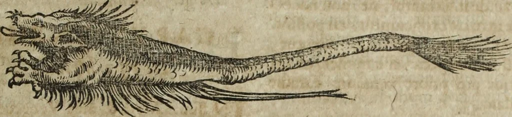 An illustration from Ioannis Eusebii Nierembergii Madritensis ex Societate Iesu ... Historia naturae, maxime peregrinae, libris XVI. distincta : in quibus rarissima naturae arcana, etiam astronomica, & ignota Indiarum animalia, ... plantae, metalla, lapides & alia mineralia, fluuiorumque & elementorum conditiones, etiam cum proprietatibus medicinalibus, describuntur ... : accedunt de miris & miraculosis naturis in Europâ libri duo, item de iisdem in terrâ Hebraeis promissâ liber vnus, 1635, leaf 270