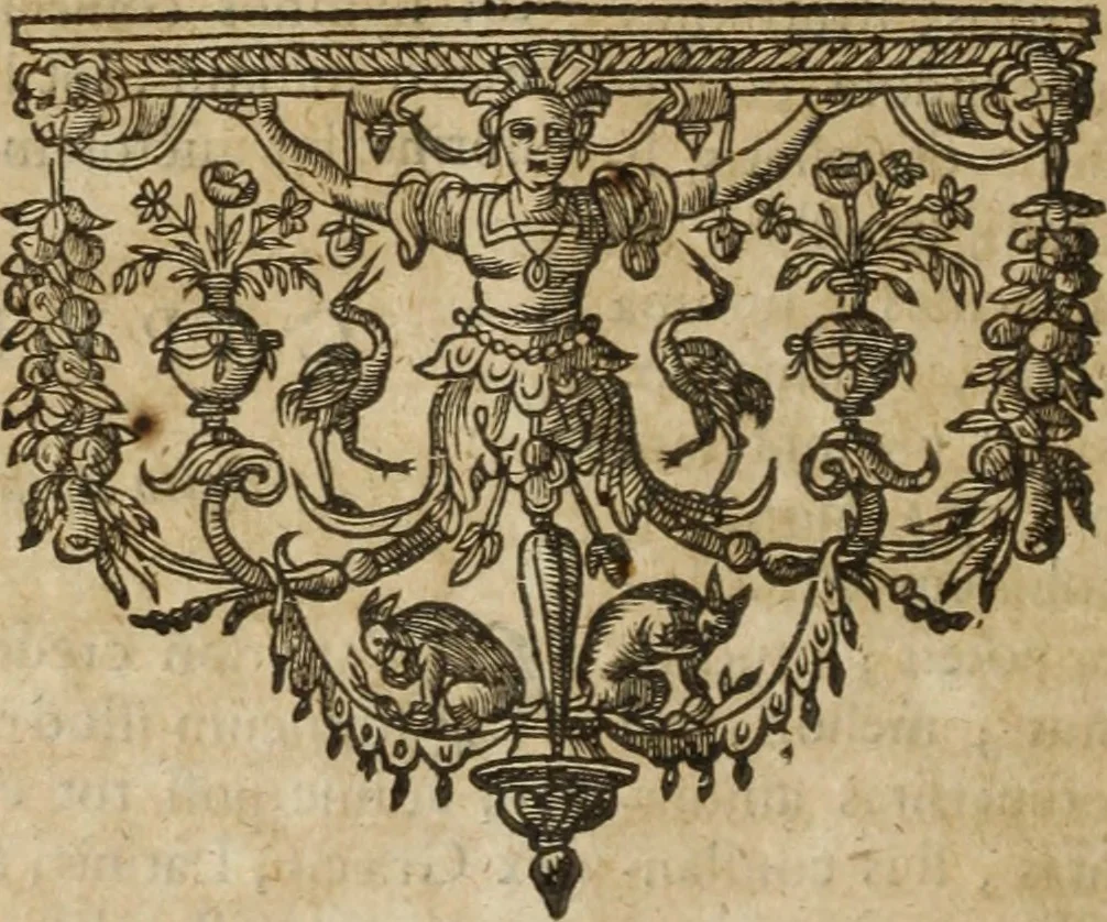 An illustration from Ioannis Eusebii Nierembergii Madritensis ex Societate Iesu ... Historia naturae, maxime peregrinae, libris XVI. distincta : in quibus rarissima naturae arcana, etiam astronomica, & ignota Indiarum animalia, ... plantae, metalla, lapides & alia mineralia, fluuiorumque & elementorum conditiones, etiam cum proprietatibus medicinalibus, describuntur ... : accedunt de miris & miraculosis naturis in Europâ libri duo, item de iisdem in terrâ Hebraeis promissâ liber vnus, 1635, leaf 29