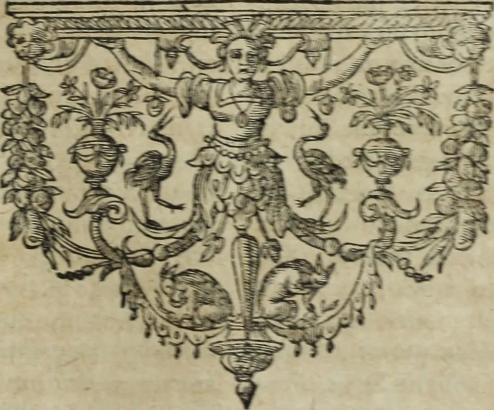 An illustration from Ioannis Eusebii Nierembergii Madritensis ex Societate Iesu ... Historia naturae, maxime peregrinae, libris XVI. distincta : in quibus rarissima naturae arcana, etiam astronomica, & ignota Indiarum animalia, ... plantae, metalla, lapides & alia mineralia, fluuiorumque & elementorum conditiones, etiam cum proprietatibus medicinalibus, describuntur ... : accedunt de miris & miraculosis naturis in Europâ libri duo, item de iisdem in terrâ Hebraeis promissâ liber vnus, 1635, leaf 298