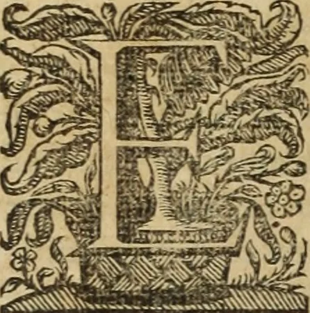 An illustration from Ioannis Eusebii Nierembergii Madritensis ex Societate Iesu ... Historia naturae, maxime peregrinae, libris XVI. distincta : in quibus rarissima naturae arcana, etiam astronomica, & ignota Indiarum animalia, ... plantae, metalla, lapides & alia mineralia, fluuiorumque & elementorum conditiones, etiam cum proprietatibus medicinalibus, describuntur ... : accedunt de miris & miraculosis naturis in Europâ libri duo, item de iisdem in terrâ Hebraeis promissâ liber vnus, 1635, leaf 299