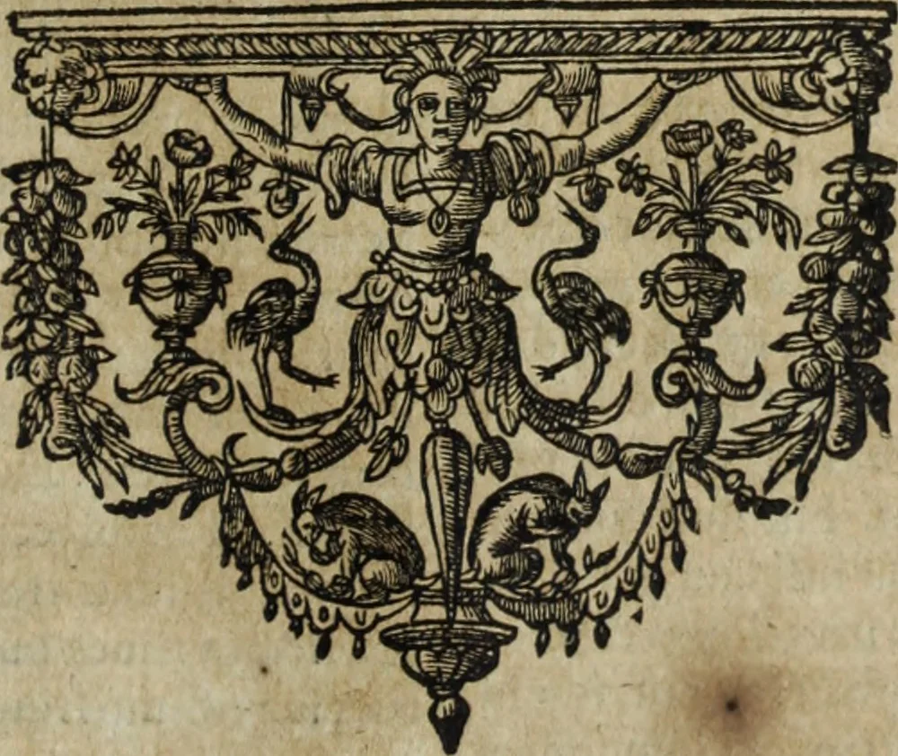 An illustration from Ioannis Eusebii Nierembergii Madritensis ex Societate Iesu ... Historia naturae, maxime peregrinae, libris XVI. distincta : in quibus rarissima naturae arcana, etiam astronomica, & ignota Indiarum animalia, ... plantae, metalla, lapides & alia mineralia, fluuiorumque & elementorum conditiones, etiam cum proprietatibus medicinalibus, describuntur ... : accedunt de miris & miraculosis naturis in Europâ libri duo, item de iisdem in terrâ Hebraeis promissâ liber vnus, 1635, leaf 306