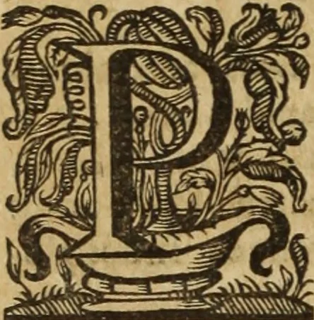 An illustration from Ioannis Eusebii Nierembergii Madritensis ex Societate Iesu ... Historia naturae, maxime peregrinae, libris XVI. distincta : in quibus rarissima naturae arcana, etiam astronomica, & ignota Indiarum animalia, ... plantae, metalla, lapides & alia mineralia, fluuiorumque & elementorum conditiones, etiam cum proprietatibus medicinalibus, describuntur ... : accedunt de miris & miraculosis naturis in Europâ libri duo, item de iisdem in terrâ Hebraeis promissâ liber vnus, 1635, leaf 307