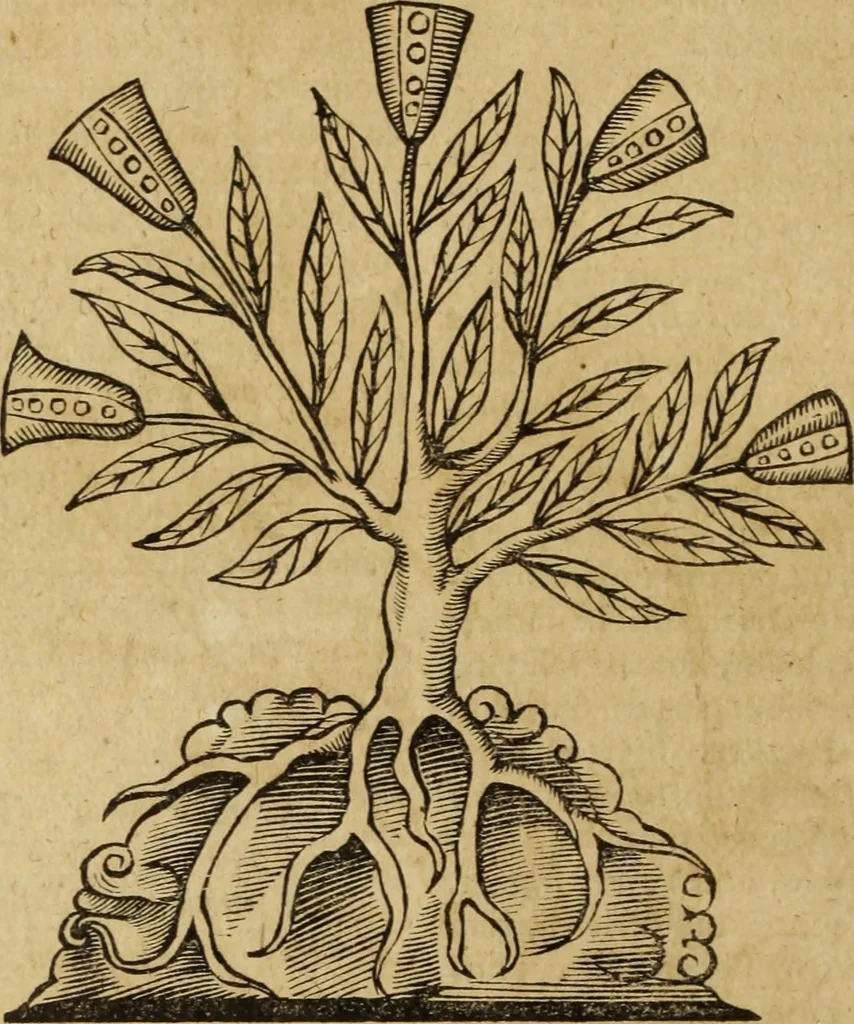 An illustration from Ioannis Eusebii Nierembergii Madritensis ex Societate Iesu ... Historia naturae, maxime peregrinae, libris XVI. distincta : in quibus rarissima naturae arcana, etiam astronomica, & ignota Indiarum animalia, ... plantae, metalla, lapides & alia mineralia, fluuiorumque & elementorum conditiones, etiam cum proprietatibus medicinalibus, describuntur ... : accedunt de miris & miraculosis naturis in Europâ libri duo, item de iisdem in terrâ Hebraeis promissâ liber vnus, 1635, leaf 321