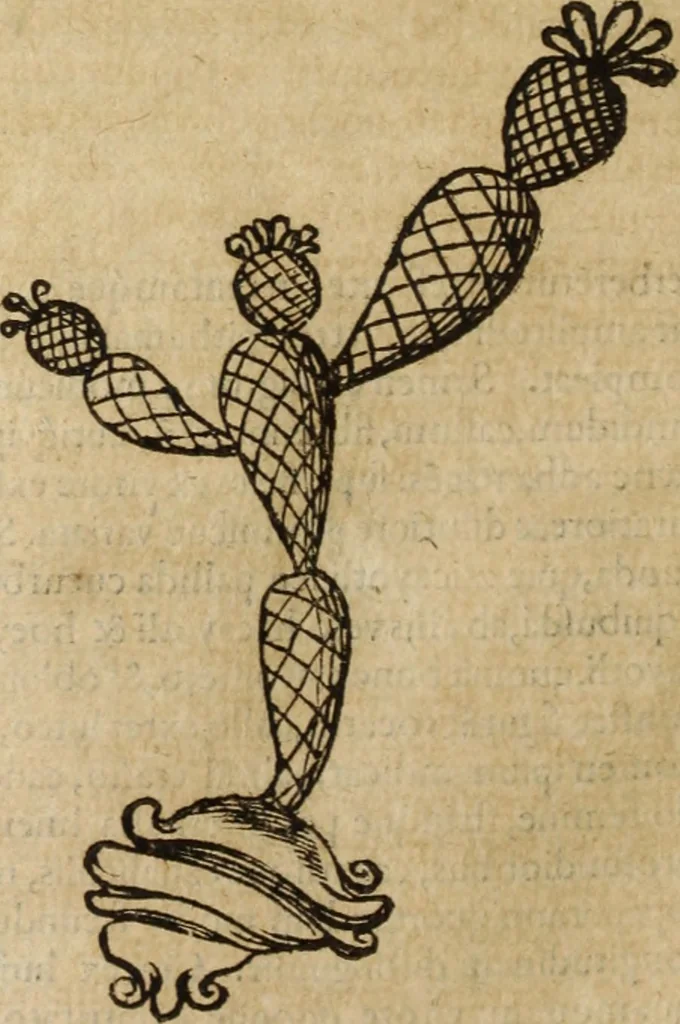 An illustration from Ioannis Eusebii Nierembergii Madritensis ex Societate Iesu ... Historia naturae, maxime peregrinae, libris XVI. distincta : in quibus rarissima naturae arcana, etiam astronomica, & ignota Indiarum animalia, ... plantae, metalla, lapides & alia mineralia, fluuiorumque & elementorum conditiones, etiam cum proprietatibus medicinalibus, describuntur ... : accedunt de miris & miraculosis naturis in Europâ libri duo, item de iisdem in terrâ Hebraeis promissâ liber vnus, 1635, leaf 323