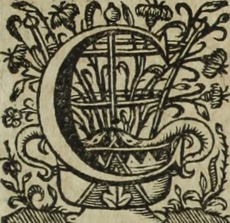 An illustration from Ioannis Eusebii Nierembergii Madritensis ex Societate Iesu ... Historia naturae, maxime peregrinae, libris XVI. distincta : in quibus rarissima naturae arcana, etiam astronomica, & ignota Indiarum animalia, ... plantae, metalla, lapides & alia mineralia, fluuiorumque & elementorum conditiones, etiam cum proprietatibus medicinalibus, describuntur ... : accedunt de miris & miraculosis naturis in Europâ libri duo, item de iisdem in terrâ Hebraeis promissâ liber vnus, 1635, leaf 348