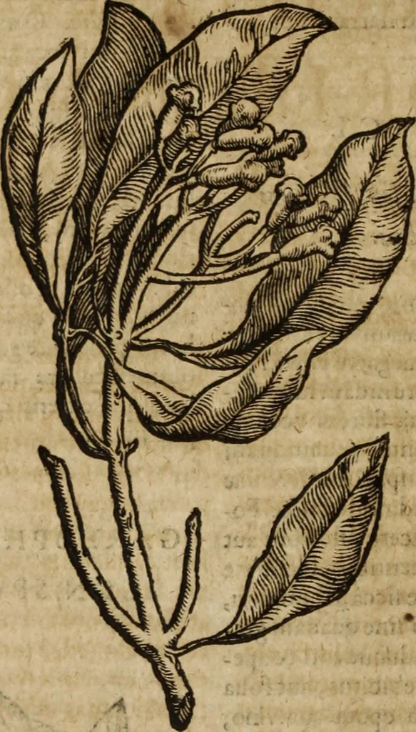 An illustration from Ioannis Eusebii Nierembergii Madritensis ex Societate Iesu ... Historia naturae, maxime peregrinae, libris XVI. distincta : in quibus rarissima naturae arcana, etiam astronomica, & ignota Indiarum animalia, ... plantae, metalla, lapides & alia mineralia, fluuiorumque & elementorum conditiones, etiam cum proprietatibus medicinalibus, describuntur ... : accedunt de miris & miraculosis naturis in Europâ libri duo, item de iisdem in terrâ Hebraeis promissâ liber vnus, 1635, leaf 385