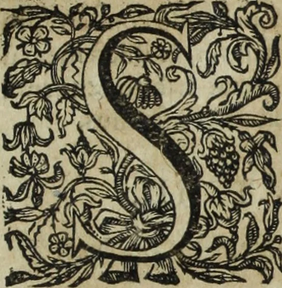 An illustration from Ioannis Eusebii Nierembergii Madritensis ex Societate Iesu ... Historia naturae, maxime peregrinae, libris XVI. distincta : in quibus rarissima naturae arcana, etiam astronomica, & ignota Indiarum animalia, ... plantae, metalla, lapides & alia mineralia, fluuiorumque & elementorum conditiones, etiam cum proprietatibus medicinalibus, describuntur ... : accedunt de miris & miraculosis naturis in Europâ libri duo, item de iisdem in terrâ Hebraeis promissâ liber vnus, 1635, leaf 400