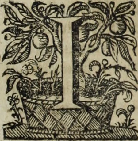 An illustration from Ioannis Eusebii Nierembergii Madritensis ex Societate Iesu ... Historia naturae, maxime peregrinae, libris XVI. distincta : in quibus rarissima naturae arcana, etiam astronomica, & ignota Indiarum animalia, ... plantae, metalla, lapides & alia mineralia, fluuiorumque & elementorum conditiones, etiam cum proprietatibus medicinalibus, describuntur ... : accedunt de miris & miraculosis naturis in Europâ libri duo, item de iisdem in terrâ Hebraeis promissâ liber vnus, 1635, leaf 400