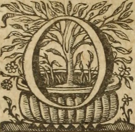 An illustration from Ioannis Eusebii Nierembergii Madritensis ex Societate Iesu ... Historia naturae, maxime peregrinae, libris XVI. distincta : in quibus rarissima naturae arcana, etiam astronomica, & ignota Indiarum animalia, ... plantae, metalla, lapides & alia mineralia, fluuiorumque & elementorum conditiones, etiam cum proprietatibus medicinalibus, describuntur ... : accedunt de miris & miraculosis naturis in Europâ libri duo, item de iisdem in terrâ Hebraeis promissâ liber vnus, 1635, leaf 41