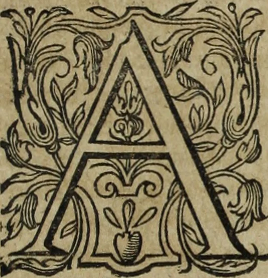 An illustration from Ioannis Eusebii Nierembergii Madritensis ex Societate Iesu ... Historia naturae, maxime peregrinae, libris XVI. distincta : in quibus rarissima naturae arcana, etiam astronomica, & ignota Indiarum animalia, ... plantae, metalla, lapides & alia mineralia, fluuiorumque & elementorum conditiones, etiam cum proprietatibus medicinalibus, describuntur ... : accedunt de miris & miraculosis naturis in Europâ libri duo, item de iisdem in terrâ Hebraeis promissâ liber vnus, 1635, leaf 438