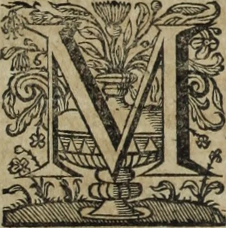 An illustration from Ioannis Eusebii Nierembergii Madritensis ex Societate Iesu ... Historia naturae, maxime peregrinae, libris XVI. distincta : in quibus rarissima naturae arcana, etiam astronomica, & ignota Indiarum animalia, ... plantae, metalla, lapides & alia mineralia, fluuiorumque & elementorum conditiones, etiam cum proprietatibus medicinalibus, describuntur ... : accedunt de miris & miraculosis naturis in Europâ libri duo, item de iisdem in terrâ Hebraeis promissâ liber vnus, 1635, leaf 438