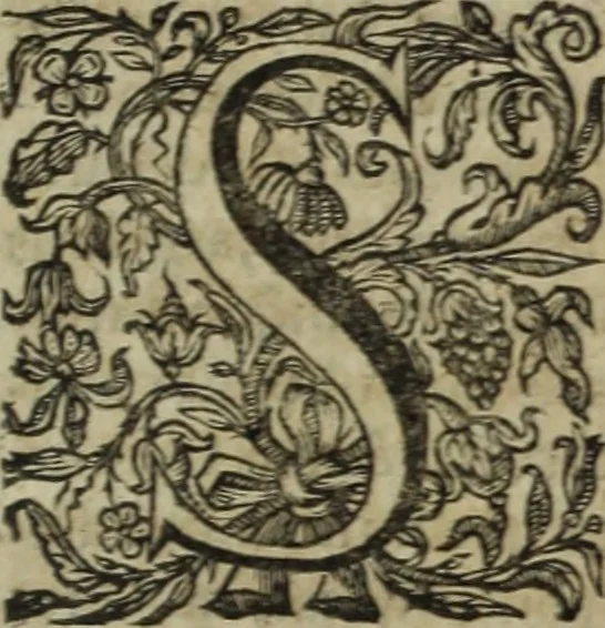 An illustration from Ioannis Eusebii Nierembergii Madritensis ex Societate Iesu ... Historia naturae, maxime peregrinae, libris XVI. distincta : in quibus rarissima naturae arcana, etiam astronomica, & ignota Indiarum animalia, ... plantae, metalla, lapides & alia mineralia, fluuiorumque & elementorum conditiones, etiam cum proprietatibus medicinalibus, describuntur ... : accedunt de miris & miraculosis naturis in Europâ libri duo, item de iisdem in terrâ Hebraeis promissâ liber vnus, 1635, leaf 470