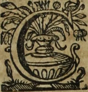 An illustration from Ioannis Eusebii Nierembergii Madritensis ex Societate Iesu ... Historia naturae, maxime peregrinae, libris XVI. distincta : in quibus rarissima naturae arcana, etiam astronomica, & ignota Indiarum animalia, ... plantae, metalla, lapides & alia mineralia, fluuiorumque & elementorum conditiones, etiam cum proprietatibus medicinalibus, describuntur ... : accedunt de miris & miraculosis naturis in Europâ libri duo, item de iisdem in terrâ Hebraeis promissâ liber vnus, 1635, leaf 516