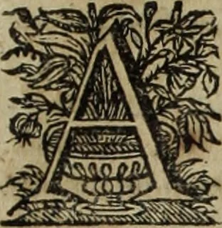 An illustration from Ioannis Eusebii Nierembergii Madritensis ex Societate Iesu ... Historia naturae, maxime peregrinae, libris XVI. distincta : in quibus rarissima naturae arcana, etiam astronomica, & ignota Indiarum animalia, ... plantae, metalla, lapides & alia mineralia, fluuiorumque & elementorum conditiones, etiam cum proprietatibus medicinalibus, describuntur ... : accedunt de miris & miraculosis naturis in Europâ libri duo, item de iisdem in terrâ Hebraeis promissâ liber vnus, 1635, leaf 530
