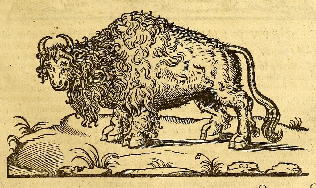 An illustration from Ioannis Eusebii Nierembergii Madritensis ex Societate Iesu ... historia naturæ, maxime peregrinæ, libris XVI. distincta. In quibus rarissima naturæ arcana, etiam astronomica, & ignota Indiarum animalia ... plantæ, metalla, lapides ... fluuioruḿque & elementorum conditiones, etiam cum proprietatibus medicinalibus, describuntur ... : Accedunt de miris & miraculosis naturis in Europâ libri duo: item de iisdem in terrâ Hebræis promissâ liber vnus, 1635, leaf 193