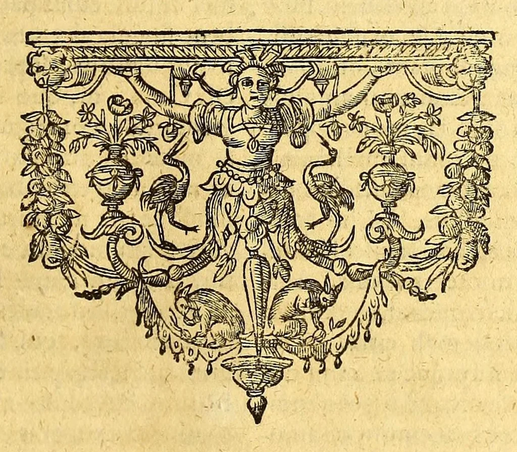 An illustration from Ioannis Eusebii Nierembergii Madritensis ex Societate Iesu ... historia naturæ, maxime peregrinæ, libris XVI. distincta. In quibus rarissima naturæ arcana, etiam astronomica, & ignota Indiarum animalia ... plantæ, metalla, lapides ... fluuioruḿque & elementorum conditiones, etiam cum proprietatibus medicinalibus, describuntur ... : Accedunt de miris & miraculosis naturis in Europâ libri duo: item de iisdem in terrâ Hebræis promissâ liber vnus, 1635, leaf 297