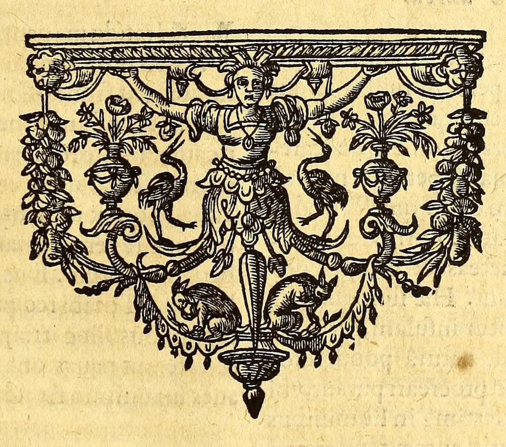 An illustration from Ioannis Eusebii Nierembergii Madritensis ex Societate Iesu ... historia naturæ, maxime peregrinæ, libris XVI. distincta. In quibus rarissima naturæ arcana, etiam astronomica, & ignota Indiarum animalia ... plantæ, metalla, lapides ... fluuioruḿque & elementorum conditiones, etiam cum proprietatibus medicinalibus, describuntur ... : Accedunt de miris & miraculosis naturis in Europâ libri duo: item de iisdem in terrâ Hebræis promissâ liber vnus, 1635, leaf 305