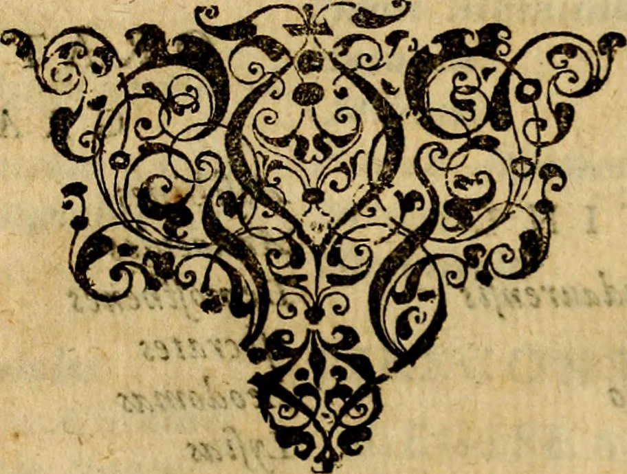 An illustration from Ioannis Fabri Bambergensis ... In imagines illvstrivm ex Fvlvii Vrsini Bibliotheca, 1606, leaf 107