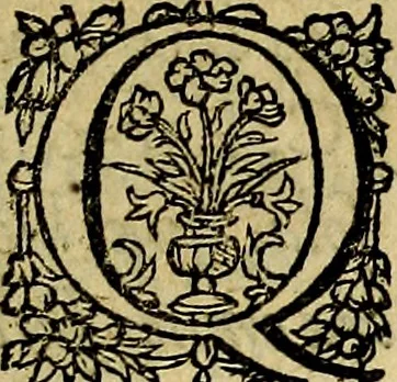 An illustration from Ioannis Fabri Bambergensis ... In imagines illvstrivm ex Fvlvii Vrsini Bibliotheca, 1606, leaf 16