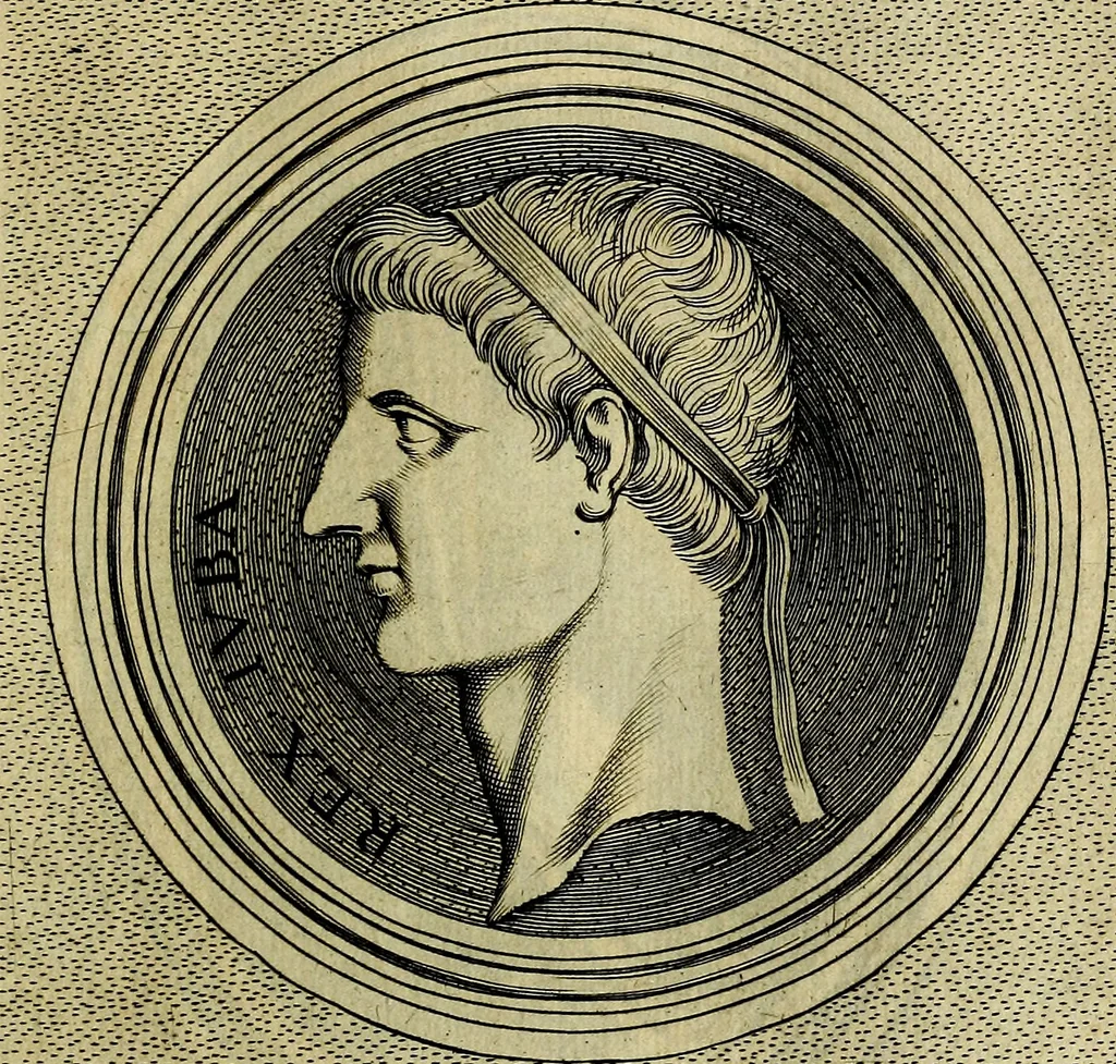 An illustration from Ioannis Fabri Bambergensis ... In imagines illvstrivm ex Fvlvii Vrsini Bibliotheca, 1606, leaf 266